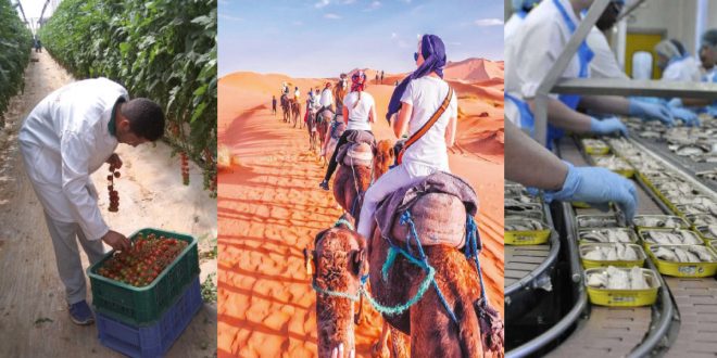 Agriculture, tourisme, industrie : les provinces du Sud à l’heure de l’émergence économique