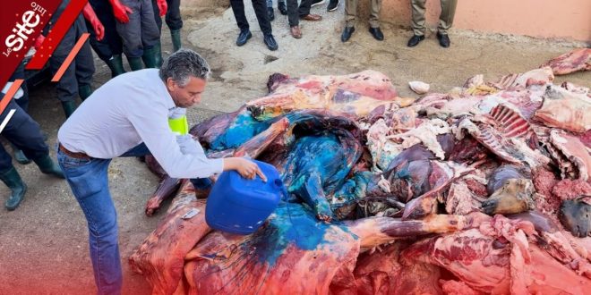 Vente de viande impropre à la consommation : deux bouchers en détention à Marrakech