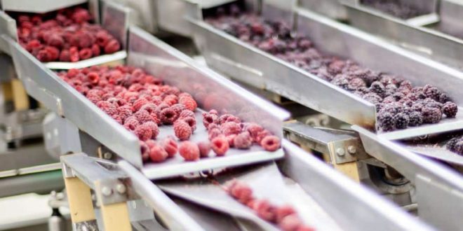 Le “Made in Morocco” face au défi de l’intégration