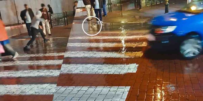 Fortes pluies à Rabat: les passants posent des pierres pour traverser les flaques