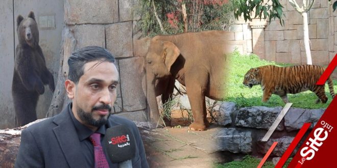 Le zoo de Ain Sebaâ a enfin rouvert ses portes (VIDEO)