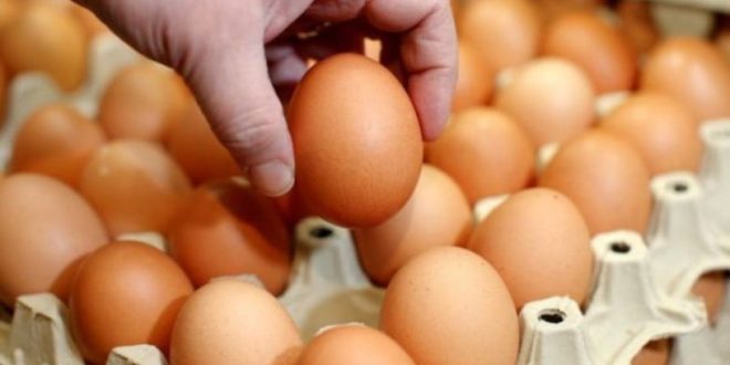 Ramadan: la hausse des prix des œufs fait réagir la Toile