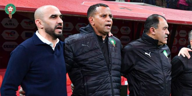 Un analyste belge rejoint le staff des Lions de l’Atlas