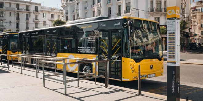 Travaux à Casablanca : changements provisoires sur certaines lignes de bus