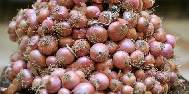 Inflation des légumes : l’oignon en tête des hausses