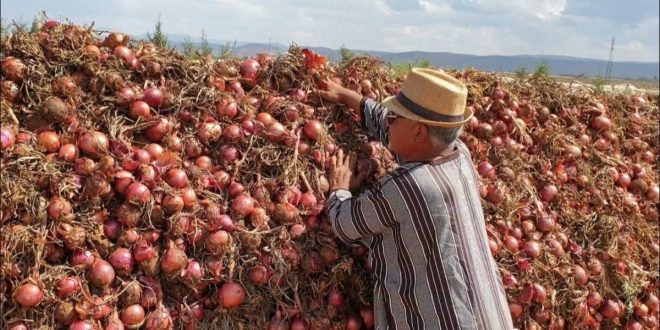 Le cri du cœur des agriculteurs face à la dictature des intermédiaires(VIDEO)