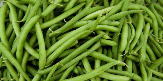 Les prix des haricots verts en forte hausse pendant Ramadan