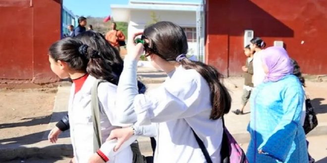 Absentéisme des élèves : les parents informés par SMS ou téléphone ?