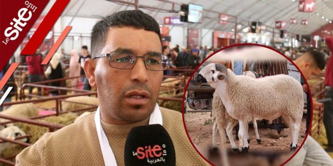 Aïd Al-Adha au Maroc: un éleveur s’exprime sur les prix des moutons (VIDEO)