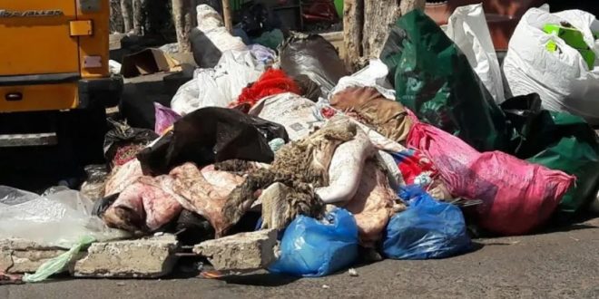 Aïd Al-Adha : opération propreté XXL à Casablanca