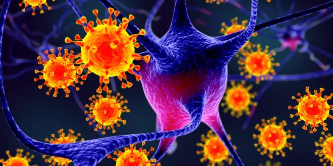 Ebola : faut-il craindre une propagation au Maroc ?