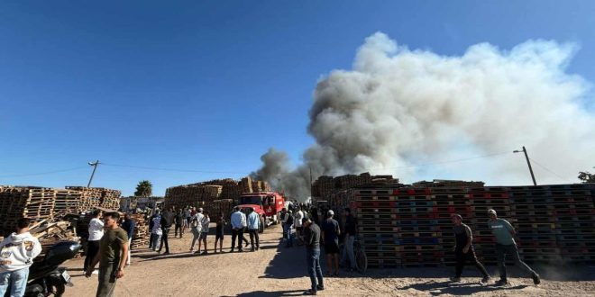 Aït Amira : un incendie ravage une station de conditionnement de légumes