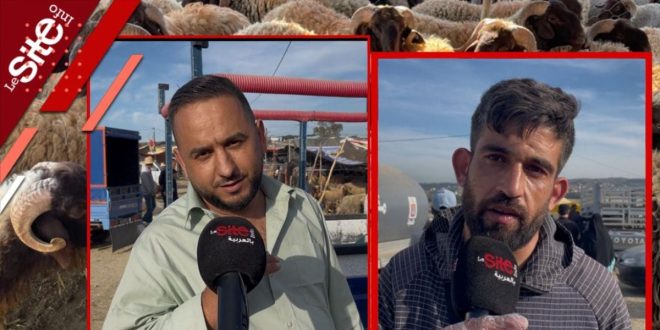 Aid Al-Adha: les Tangérois dénoncent la hausse des prix des moutons (VIDEO)