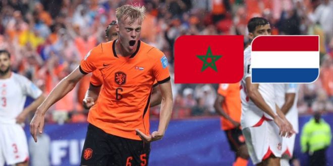 Van Hecke: « Face au Maroc, les erreurs se paieront cher »