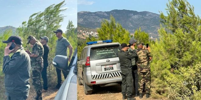 Un violent feu de forêt éclate près de Tétouan (VIDEO)
