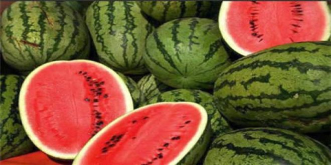 Maroc : les rumeurs sur les pastèques aux pesticides refont surface