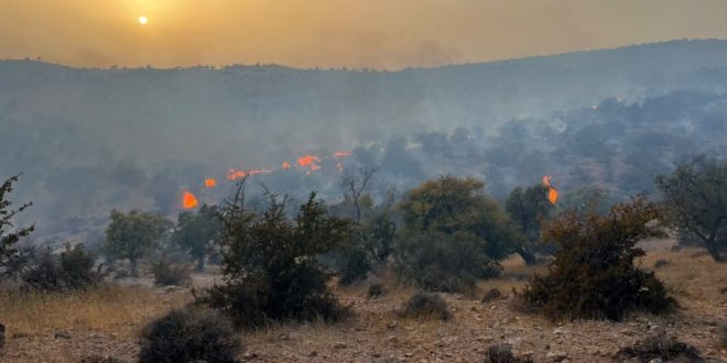 Agadir : un important feu de forêt maîtrisé près de Taghazout (VIDEO)