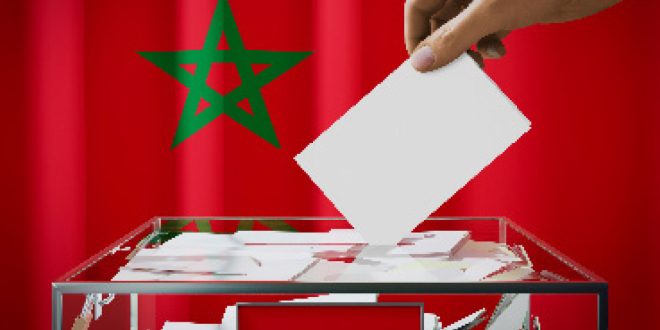 Législatives 2026: bulletins, sièges, quotient électoral… le guide du vote