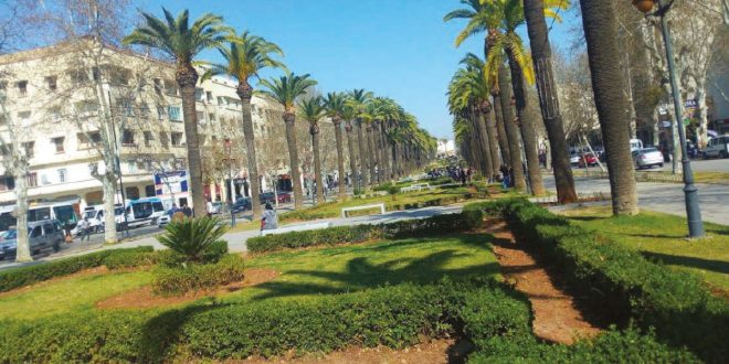 Fès: près de 20 millions de DH mobilisés pour des agents occasionnels, la polémique enfle