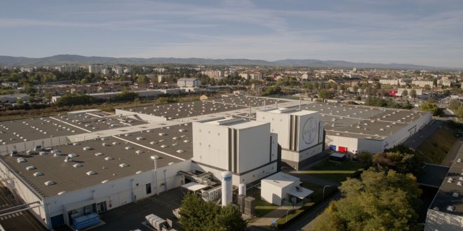 Agriculture: comment Bayer mise sur l’IA pour protéger les récoltes