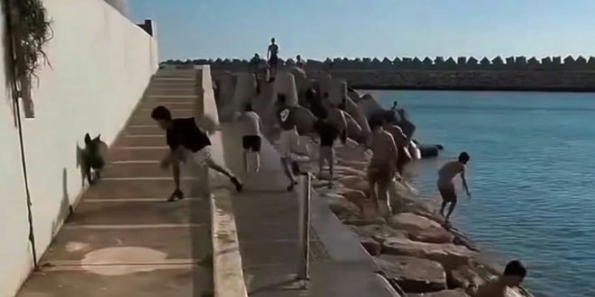 Agadir : une vidéo d’enfants menacés par des chiens provoque un tollé