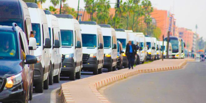 Transport touristique au Maroc: les professionnels alertent sur les risques de faillite